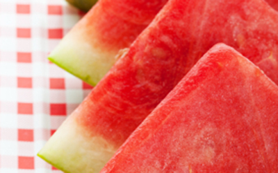 Watermelon Slices